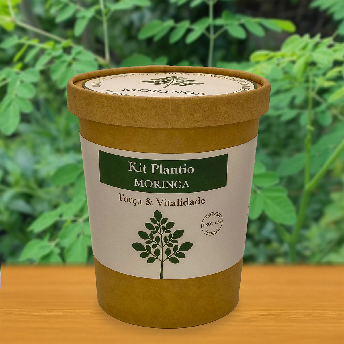 Kit Moringa